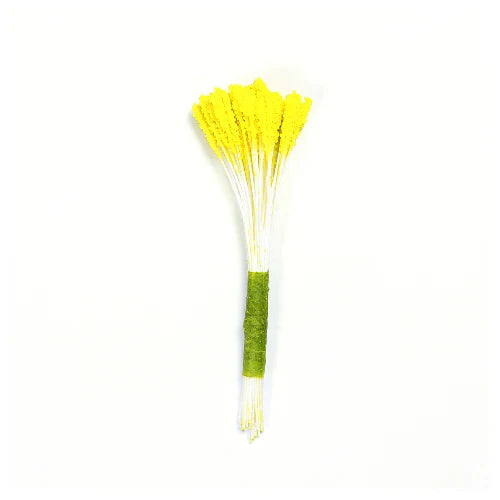Stamens Lily - Yellow
