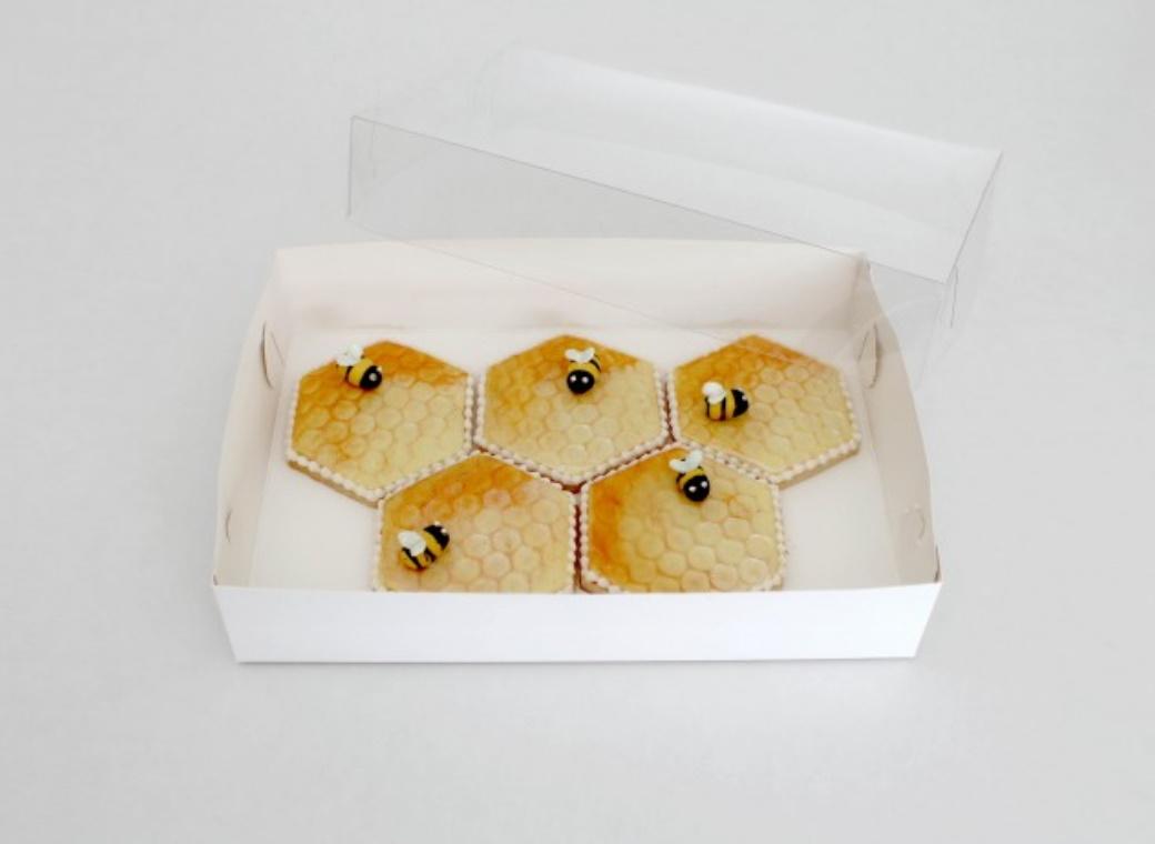LOYAL Clear Lid Biscuit Box 10 x 7in