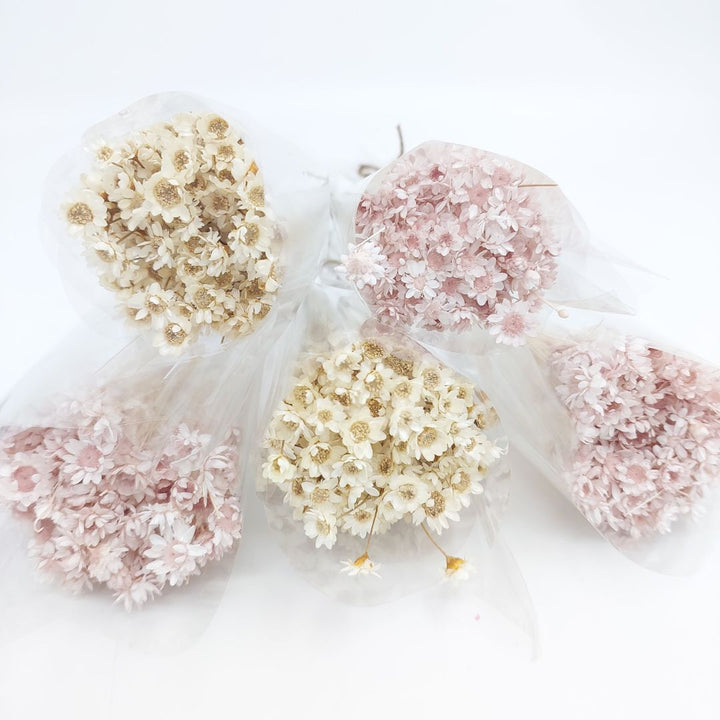 Dried Hill Flowers - Assorted