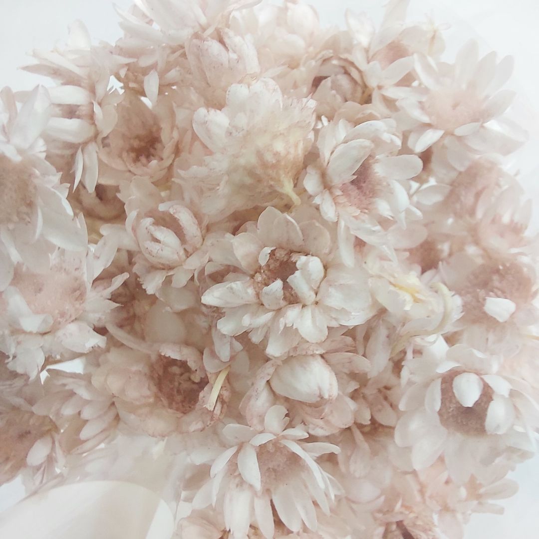 Dried Hill Flowers - Assorted