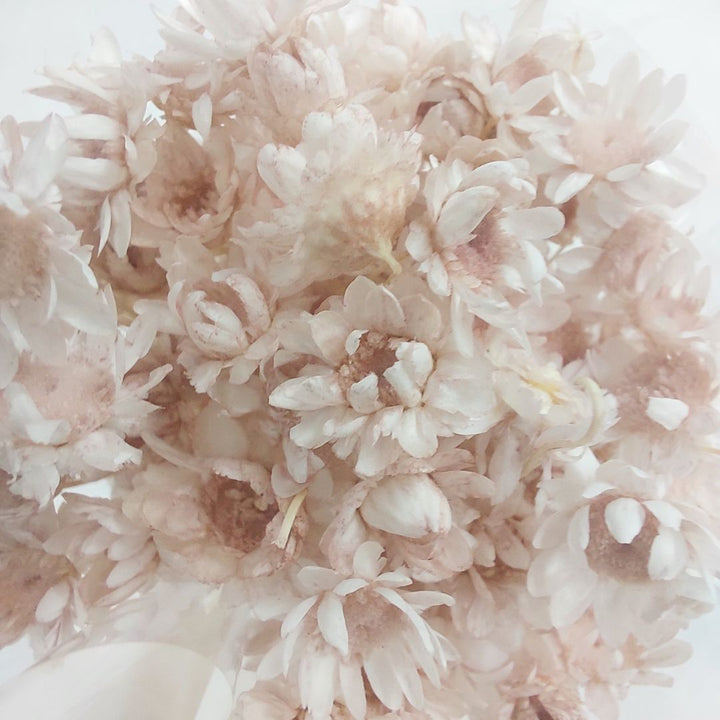 Dried Hill Flowers - Assorted