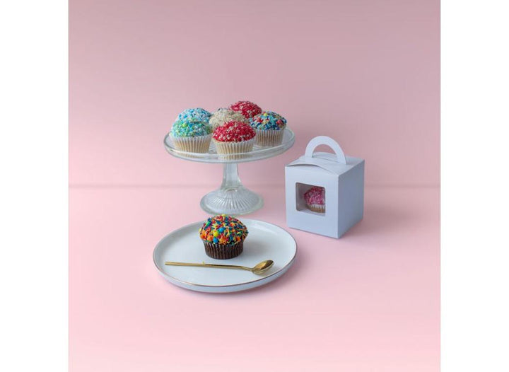Cupcake Box with Carry Handle 1-Hole 2pk